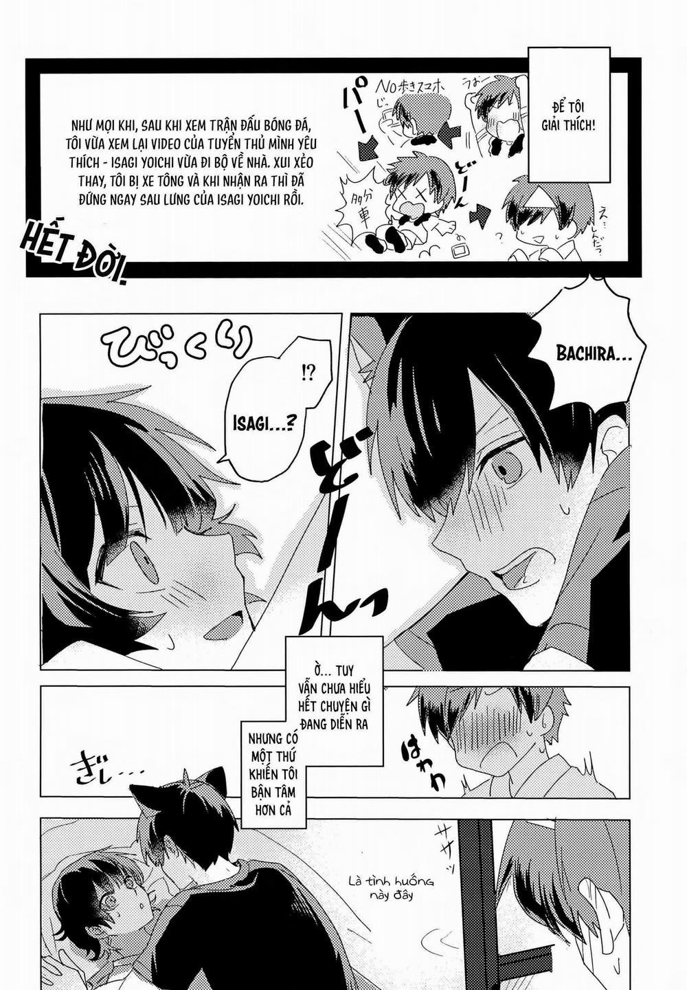 (Vicera) Blue Lock Dj 72 trang 6