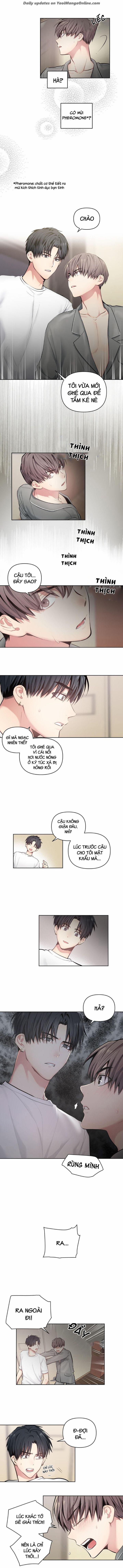 VIÊN THUỐC GIÚP TÔI TRỞ THÀNH OMEGA 2 trang 2