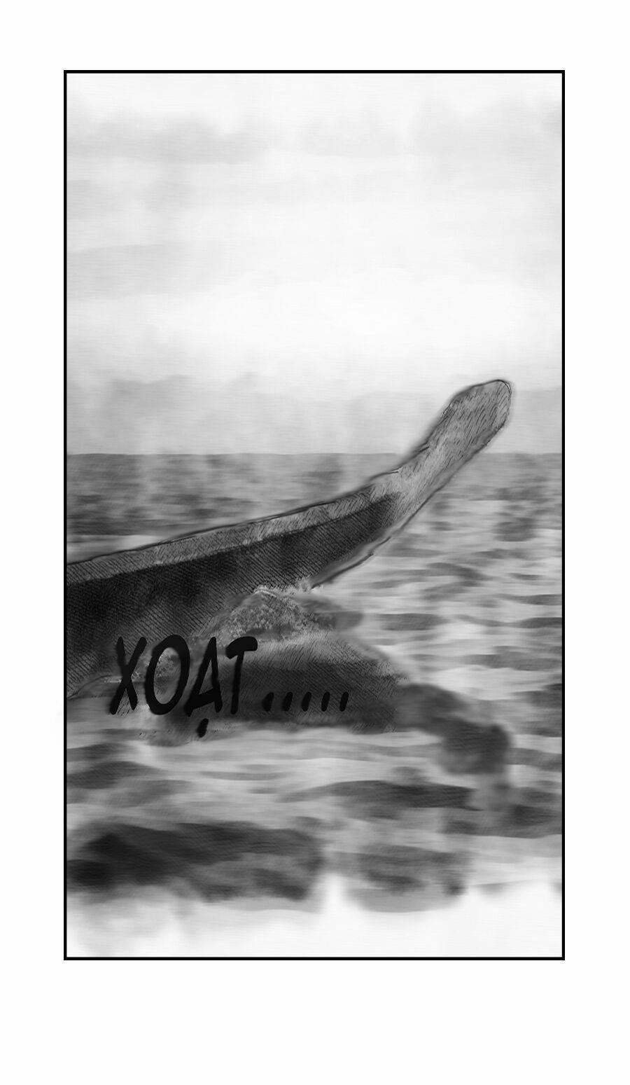 Việt Chí 1 trang 1