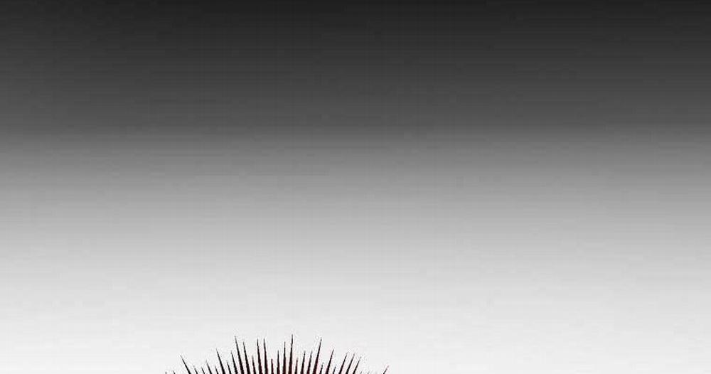 Võ Đang Kỳ Hiệp 123 trang 7