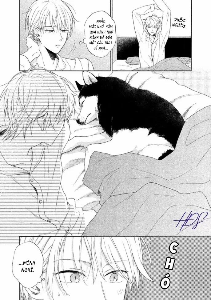 Vô Kỷ Luật! 1 trang 11