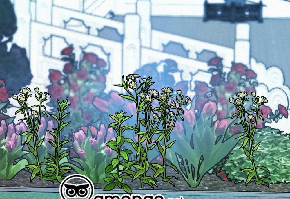 Vô Liêm Sỉ 11 trang 117