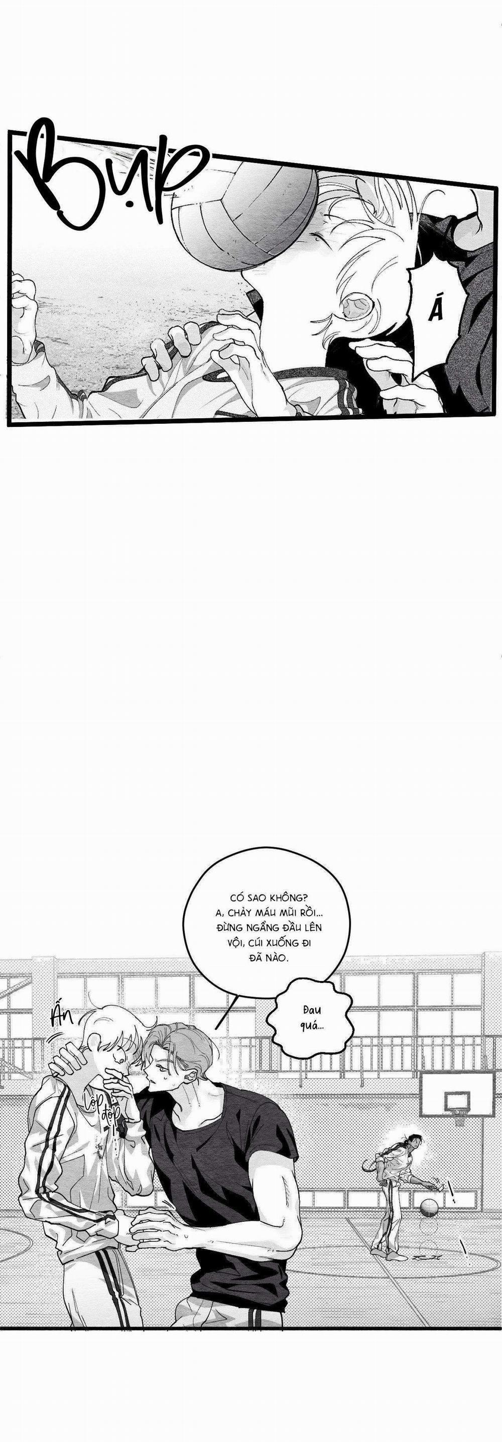 Vóc Dáng Toàn Mỹ 10 trang 6