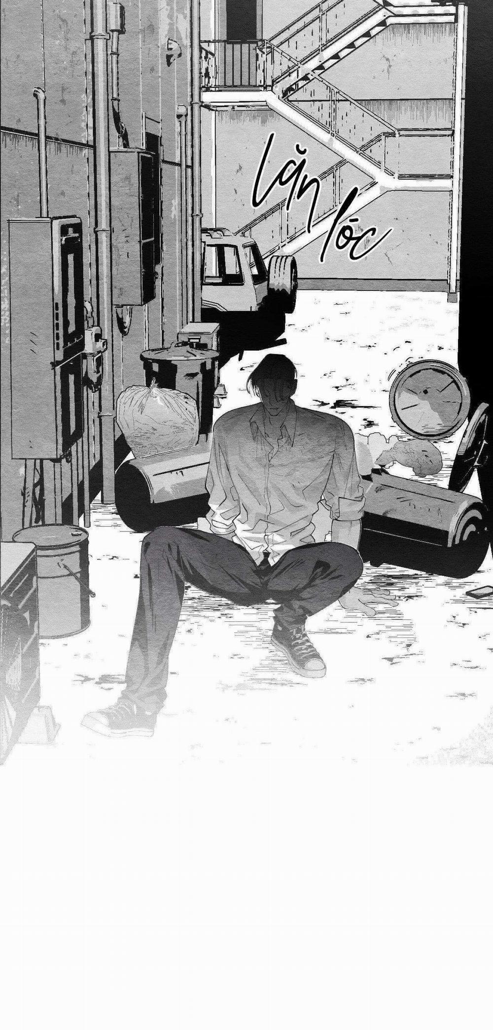 Vóc Dáng Toàn Mỹ 11 trang 17