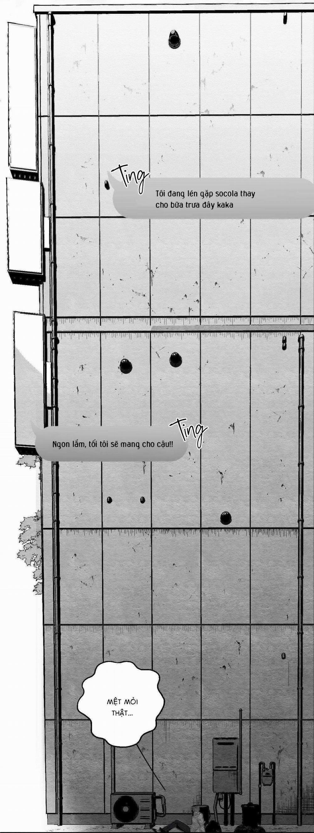 Vóc Dáng Toàn Mỹ 11 trang 22