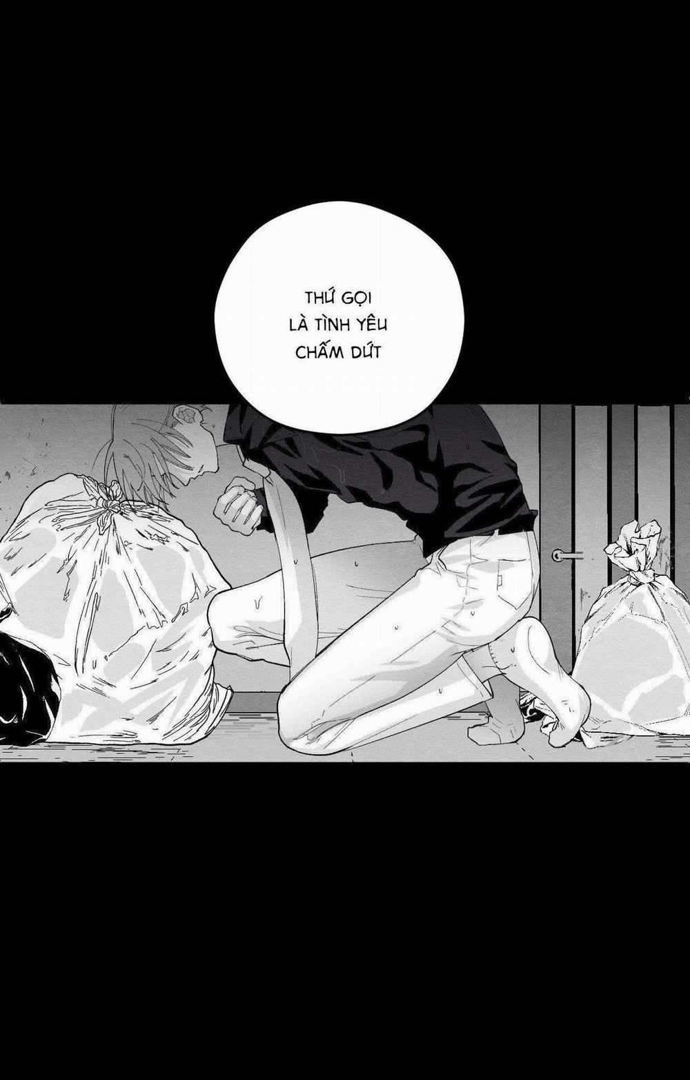 Vóc Dáng Toàn Mỹ 11 trang 56