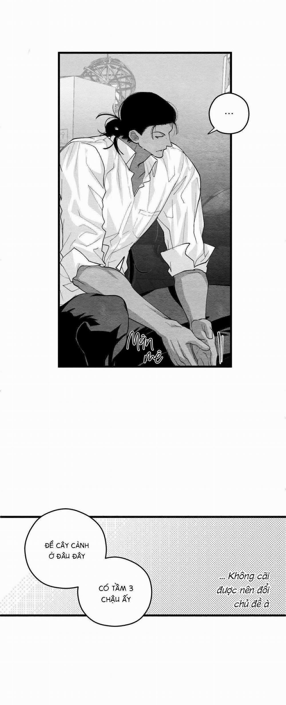 Vóc Dáng Toàn Mỹ 12 trang 23