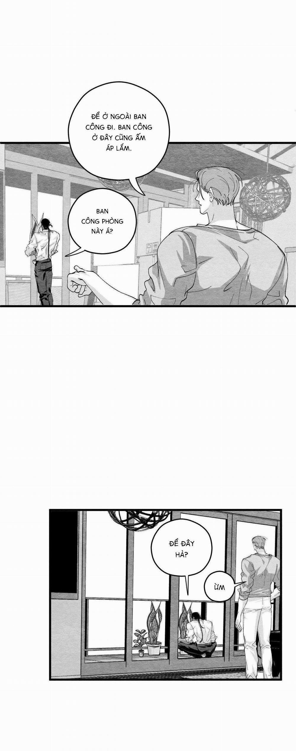 Vóc Dáng Toàn Mỹ 12 trang 24