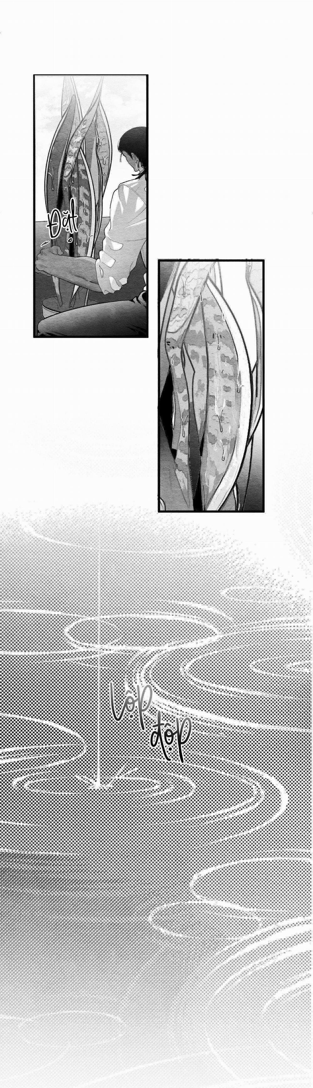 Vóc Dáng Toàn Mỹ 12 trang 25