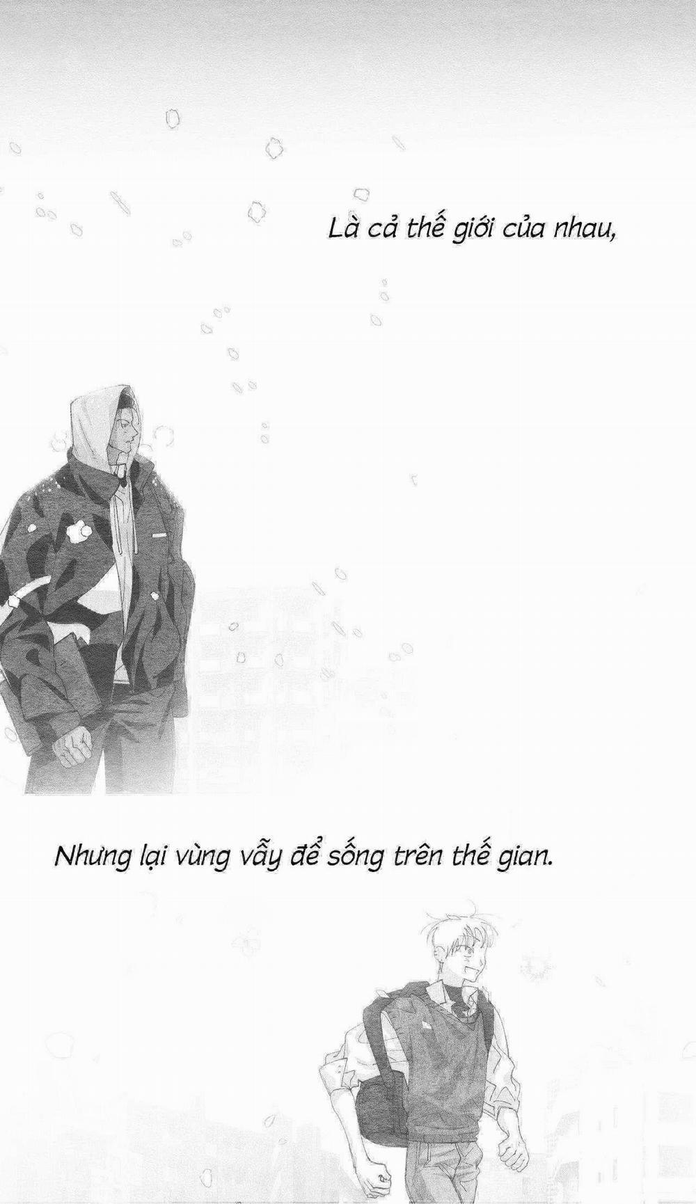 Vóc Dáng Toàn Mỹ 13 trang 40