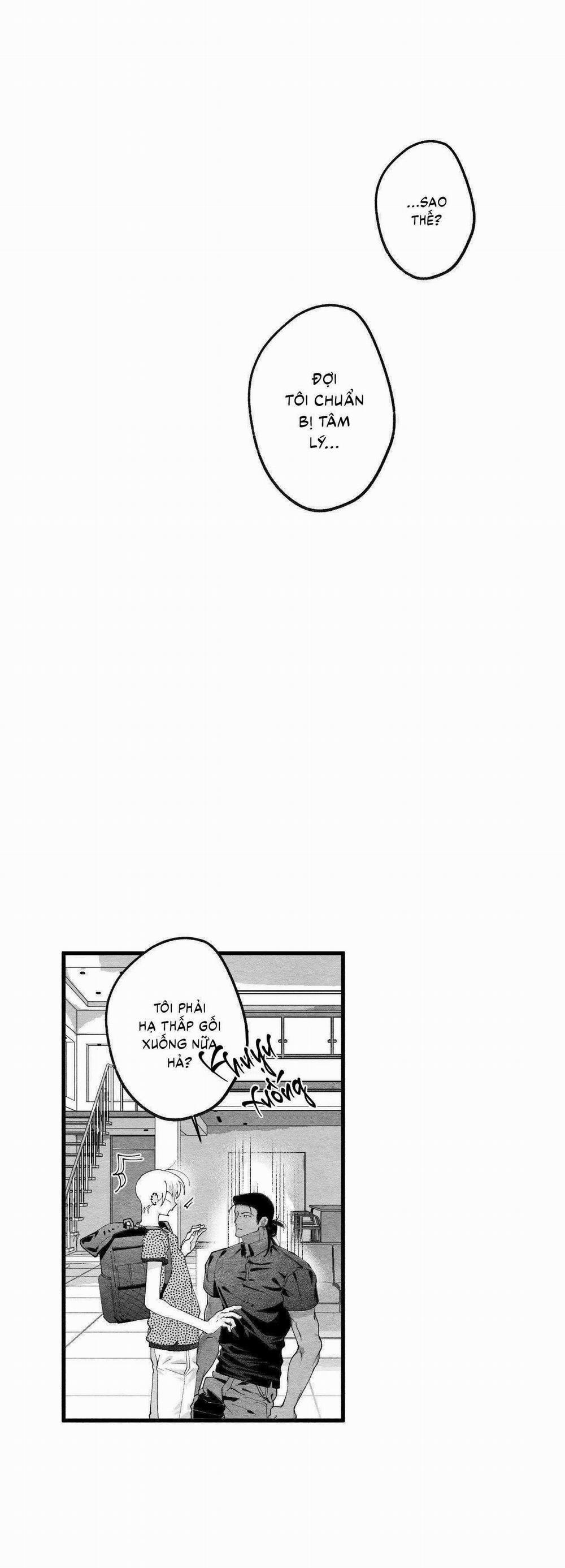 Vóc Dáng Toàn Mỹ 14 trang 11