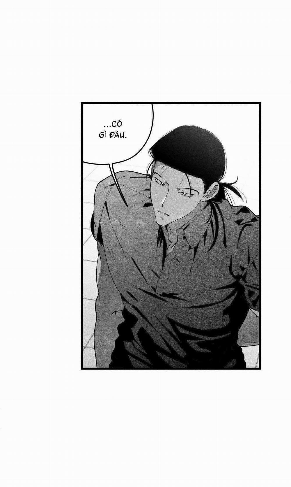 Vóc Dáng Toàn Mỹ 14 trang 13