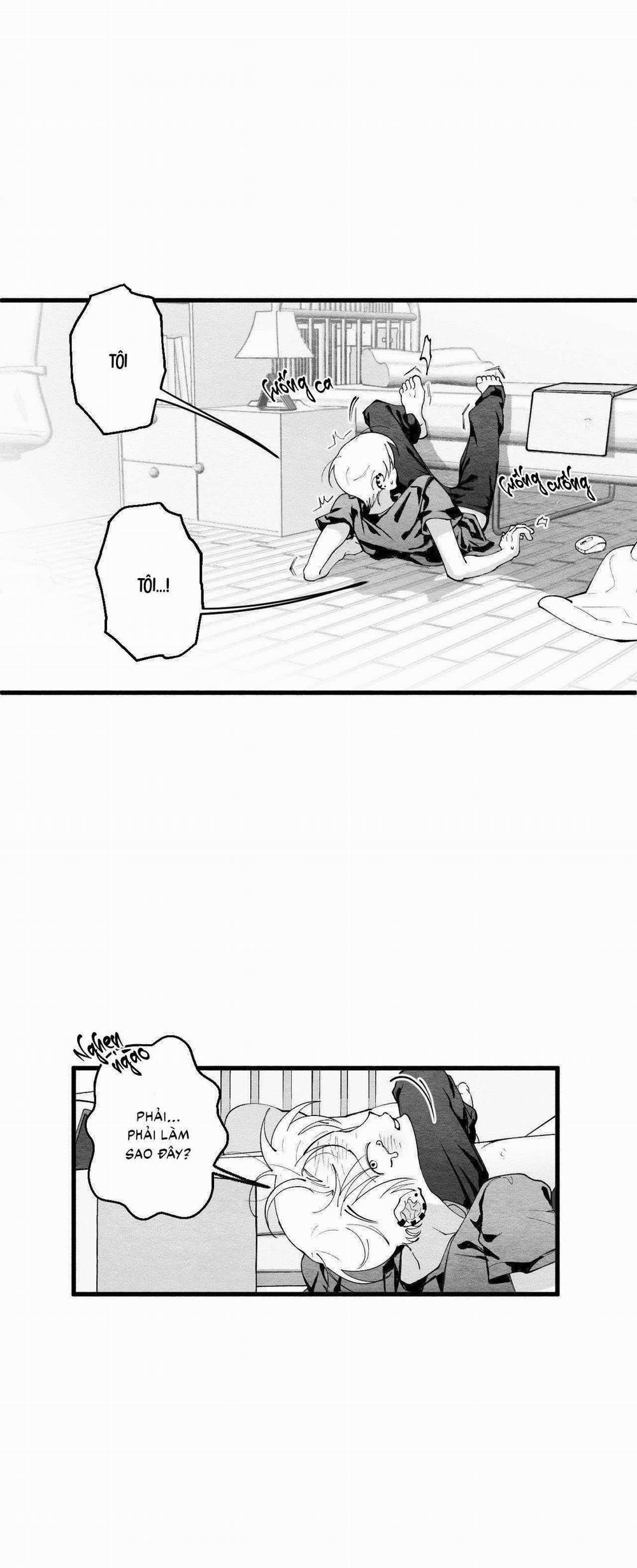 Vóc Dáng Toàn Mỹ 14 trang 2