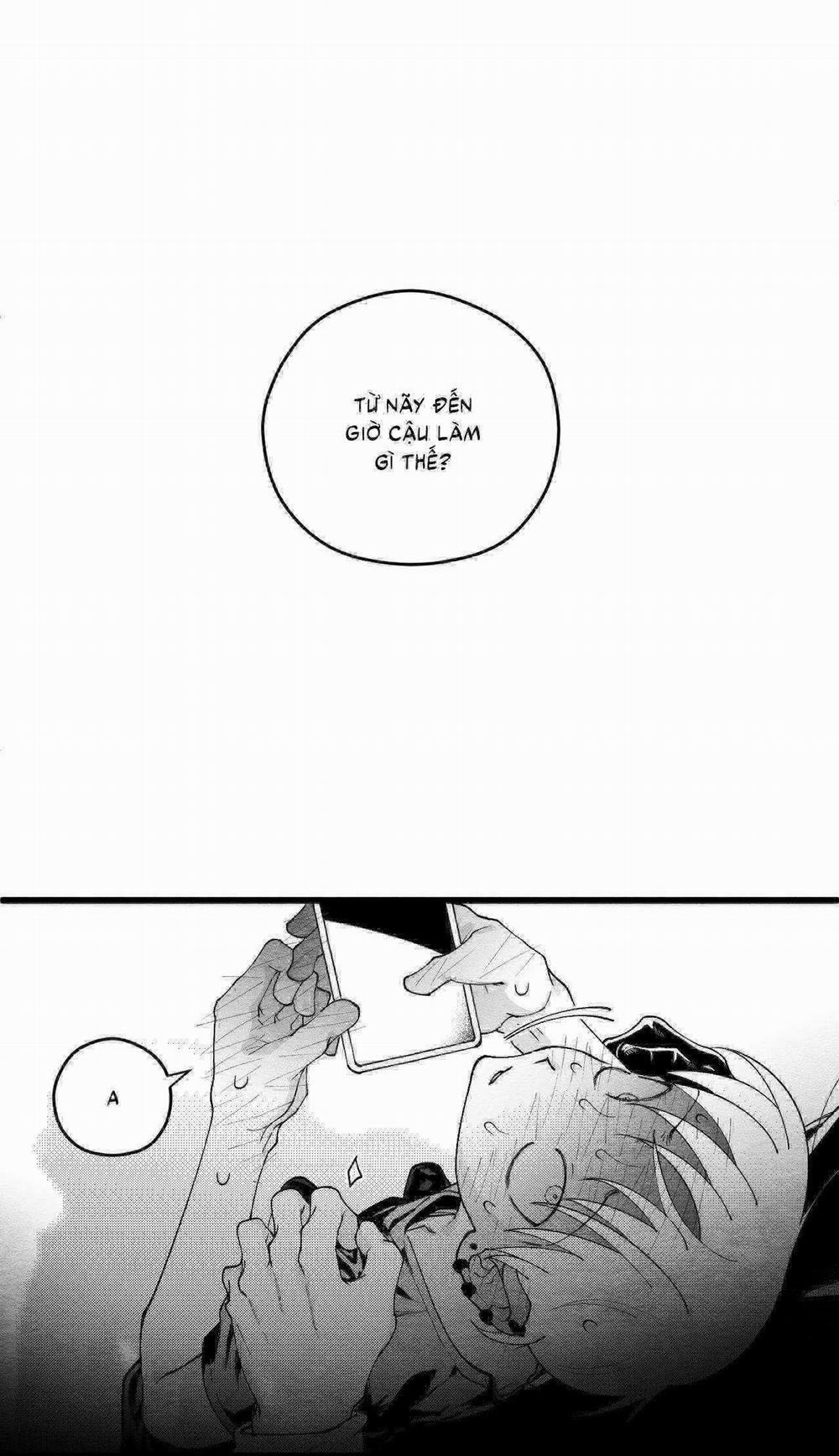 Vóc Dáng Toàn Mỹ 14 trang 54