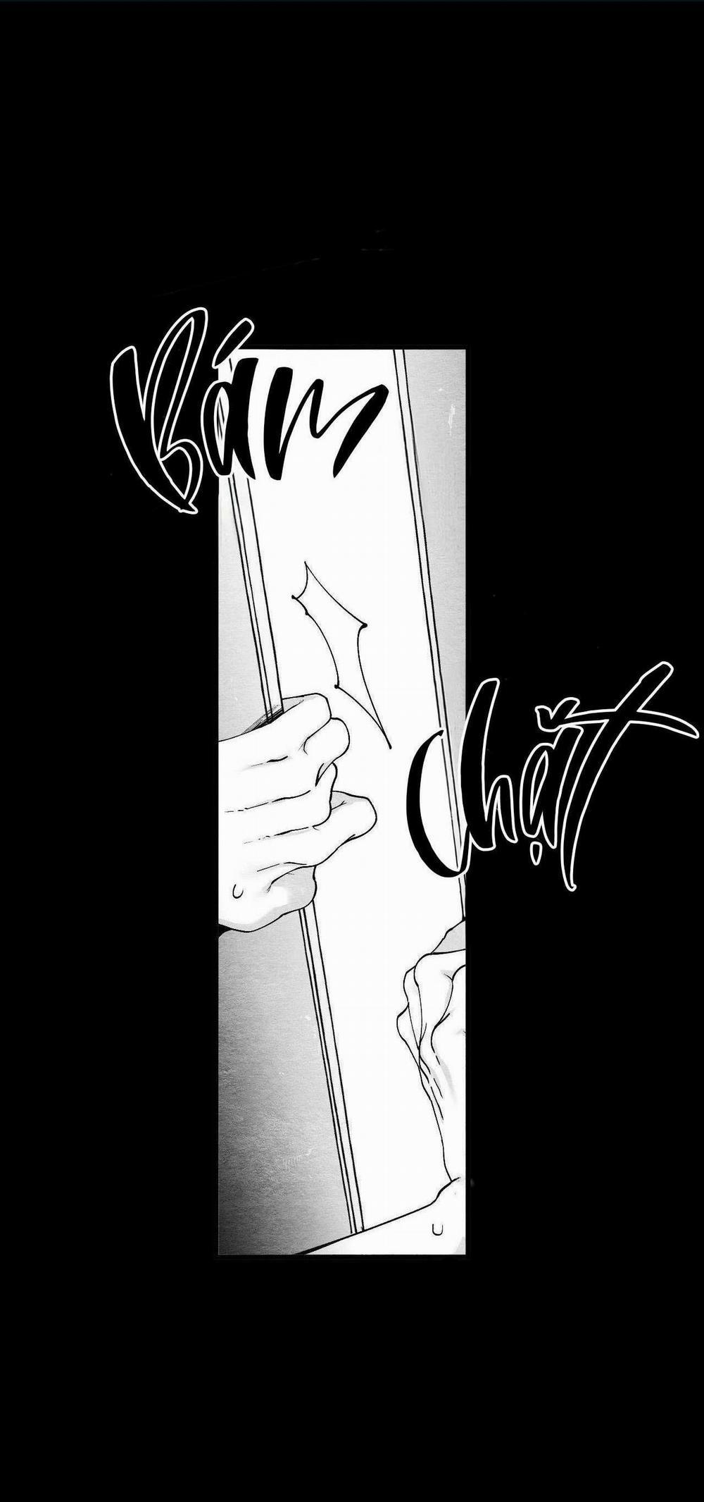 Vóc Dáng Toàn Mỹ 15 trang 0