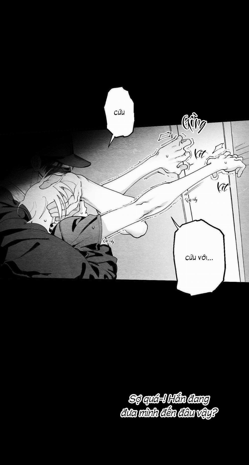 Vóc Dáng Toàn Mỹ 15 trang 1