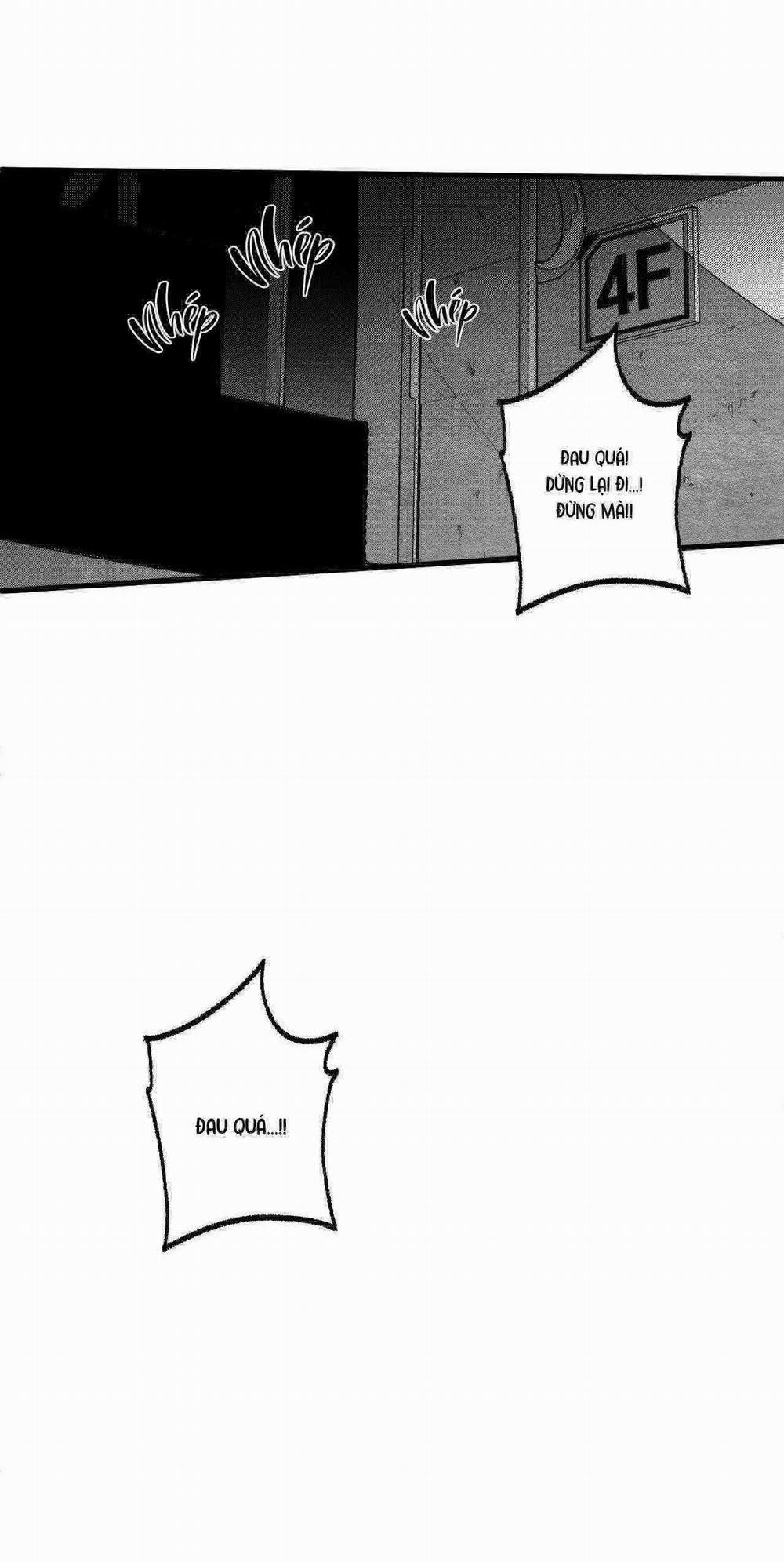 Vóc Dáng Toàn Mỹ 15 trang 11