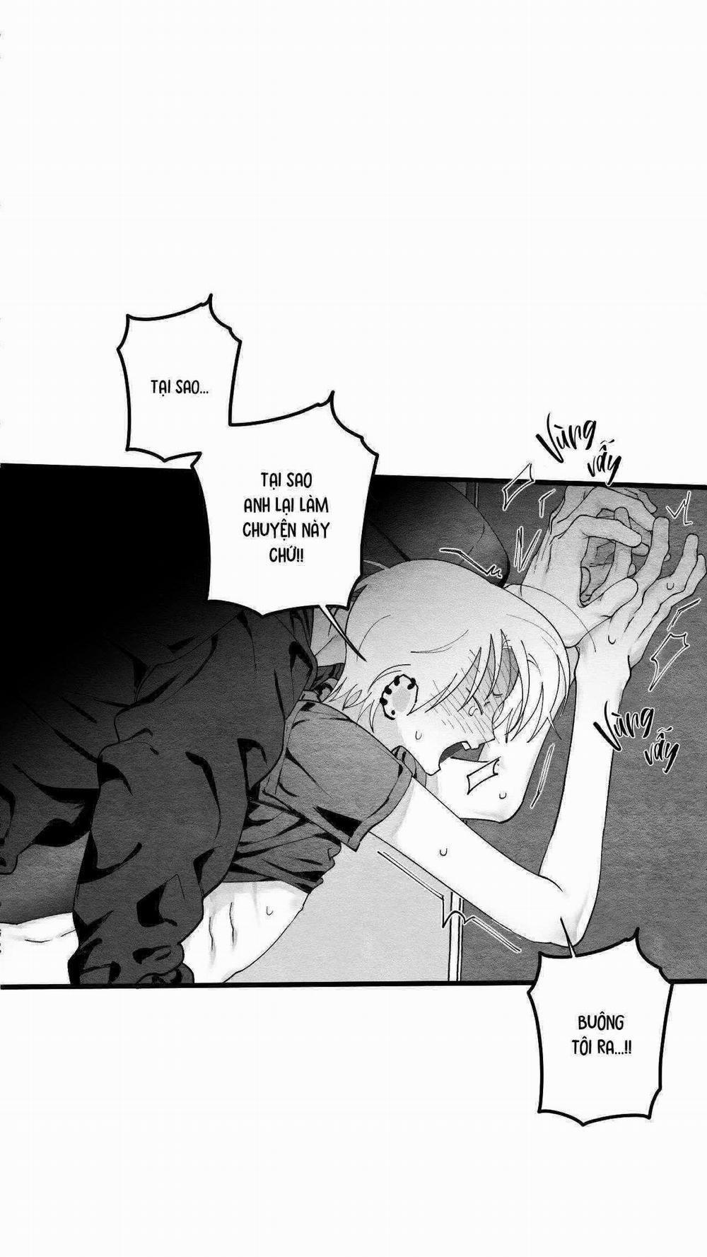 Vóc Dáng Toàn Mỹ 15 trang 15