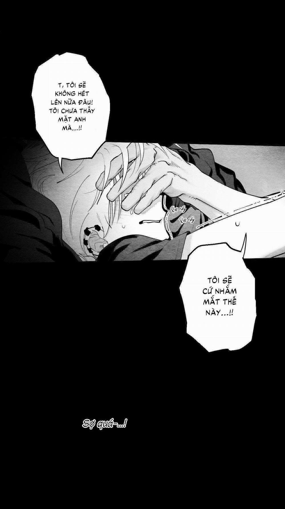 Vóc Dáng Toàn Mỹ 15 trang 2