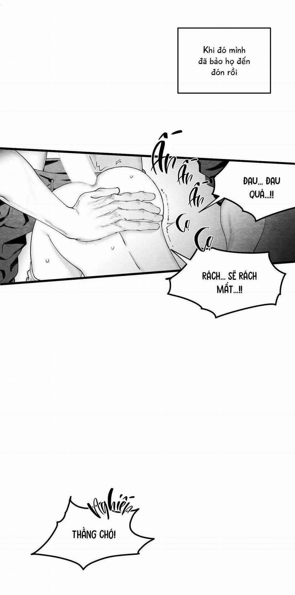 Vóc Dáng Toàn Mỹ 15 trang 21