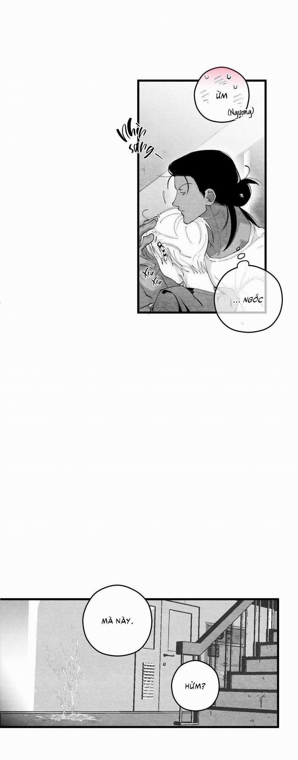 Vóc Dáng Toàn Mỹ 15 trang 62