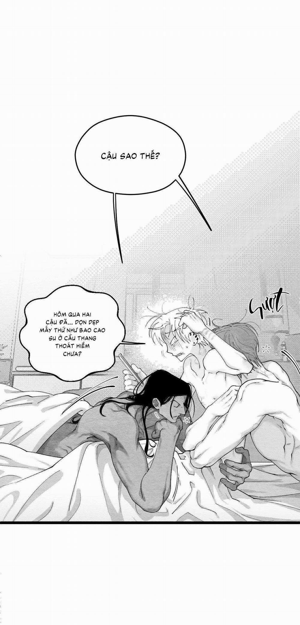 Vóc Dáng Toàn Mỹ 16 trang 2