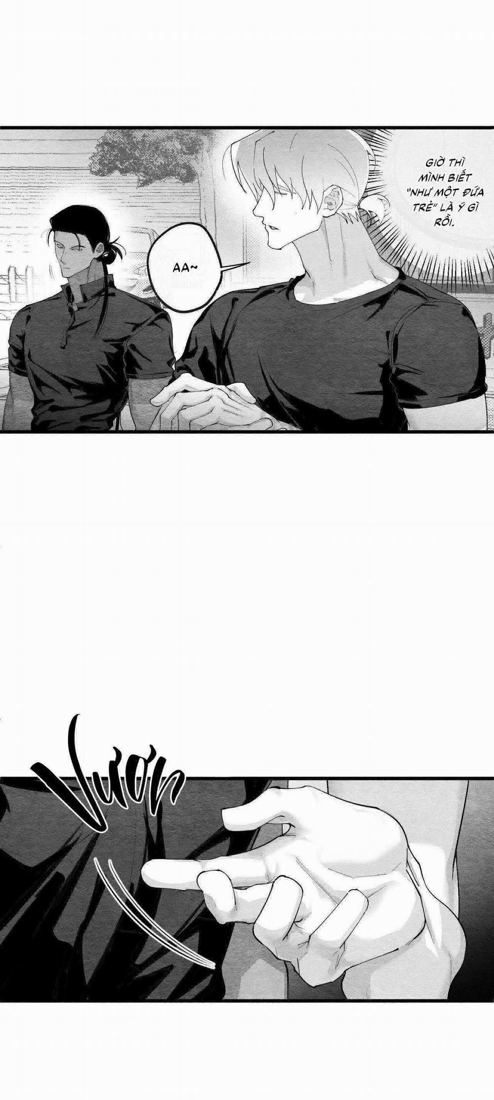 Vóc Dáng Toàn Mỹ 16 trang 46