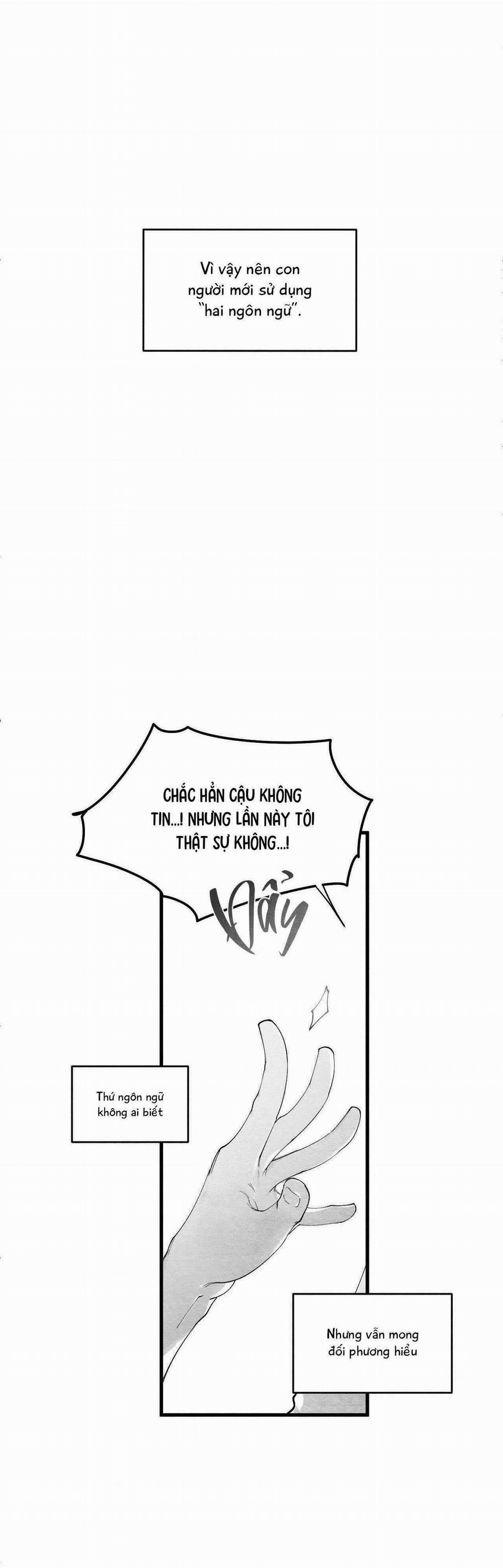 Vóc Dáng Toàn Mỹ 17 trang 39