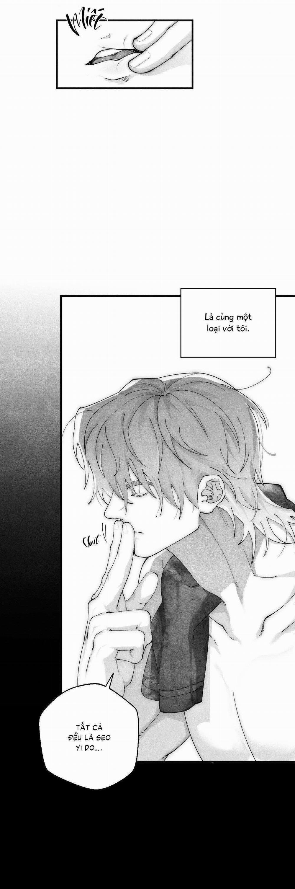 Vóc Dáng Toàn Mỹ 19 trang 12