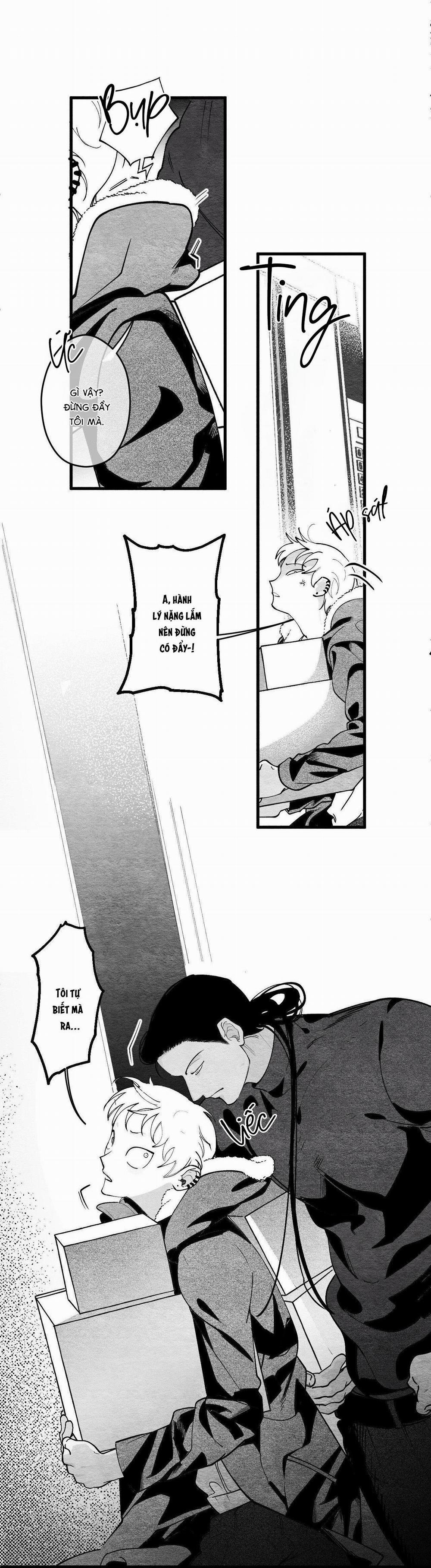 Vóc Dáng Toàn Mỹ 2 trang 25