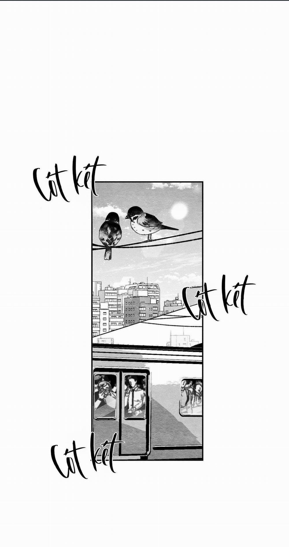 Vóc Dáng Toàn Mỹ 22 trang 0