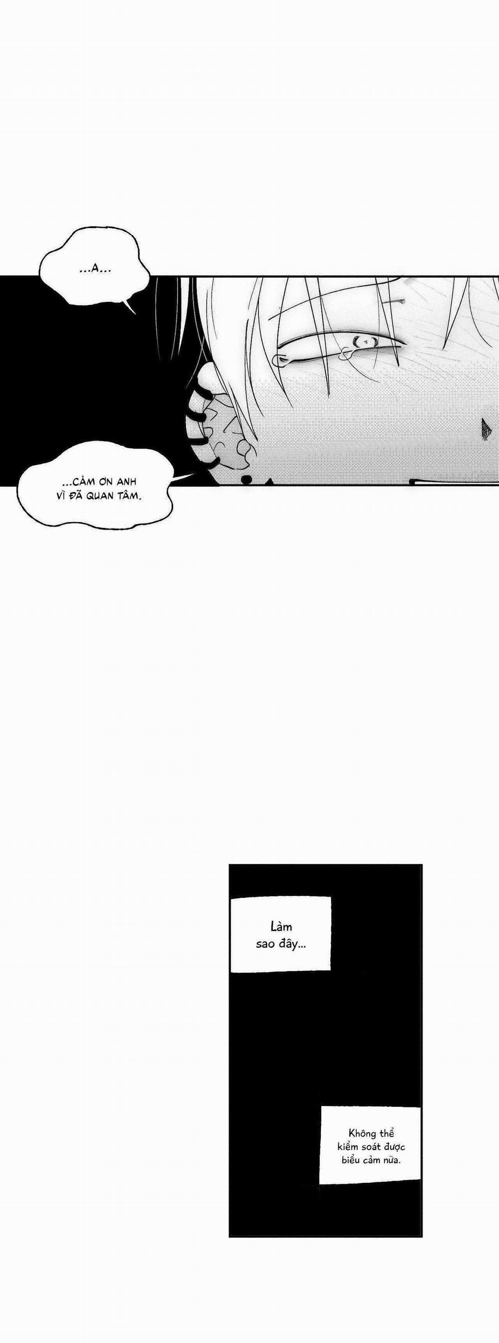 Vóc Dáng Toàn Mỹ 23 trang 51