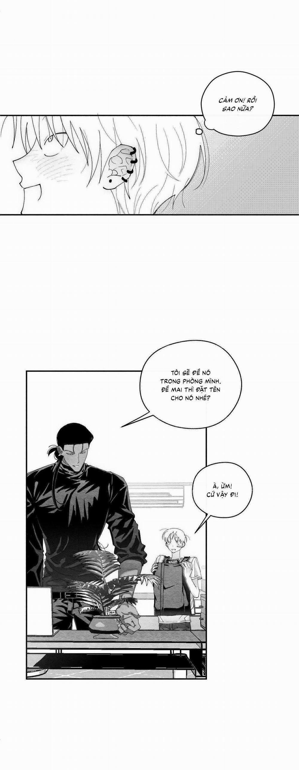 Vóc Dáng Toàn Mỹ 24 trang 23