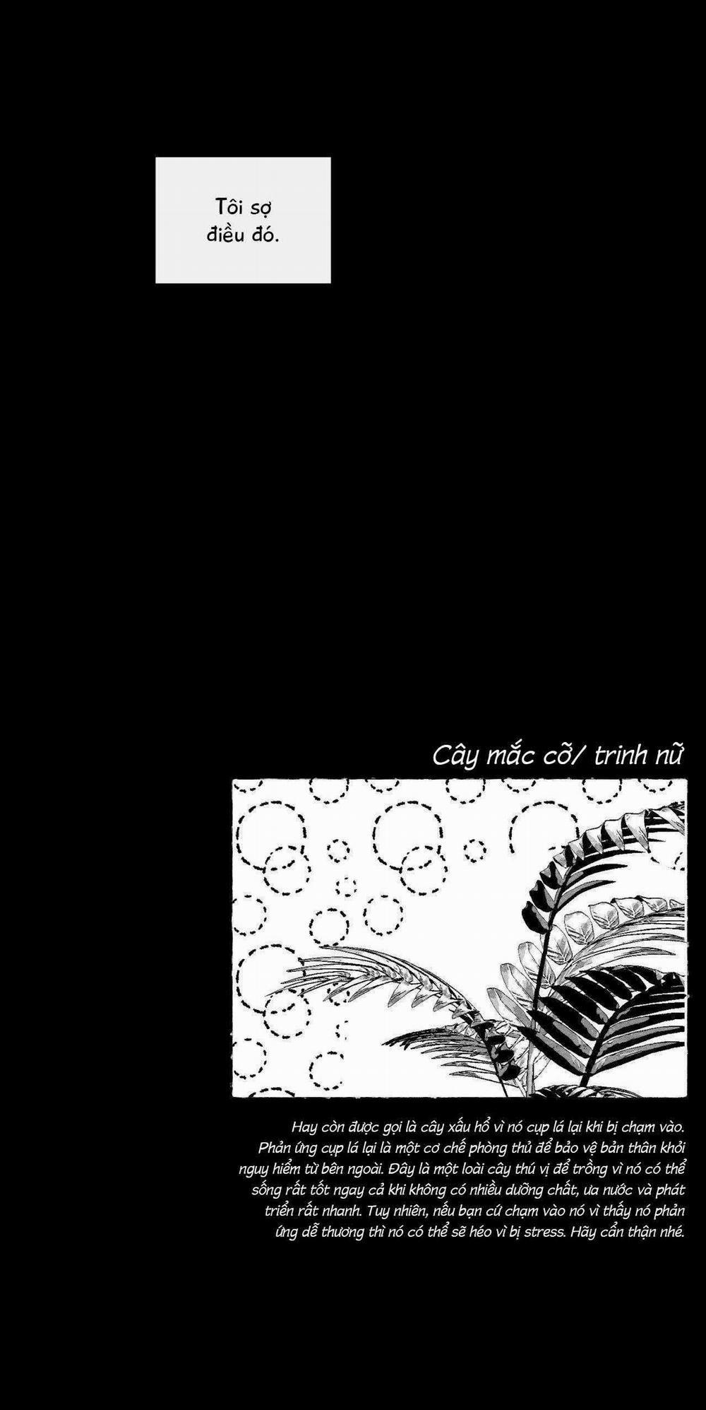 Vóc Dáng Toàn Mỹ 24 trang 72