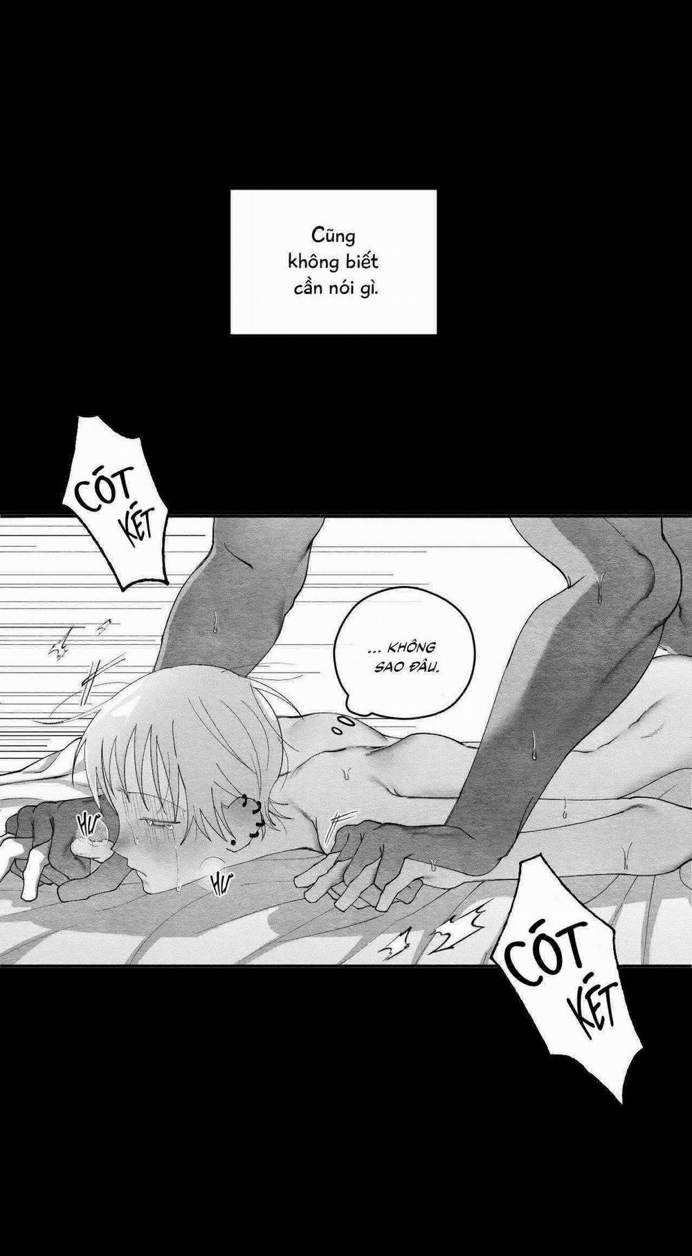 Vóc Dáng Toàn Mỹ 25 trang 21