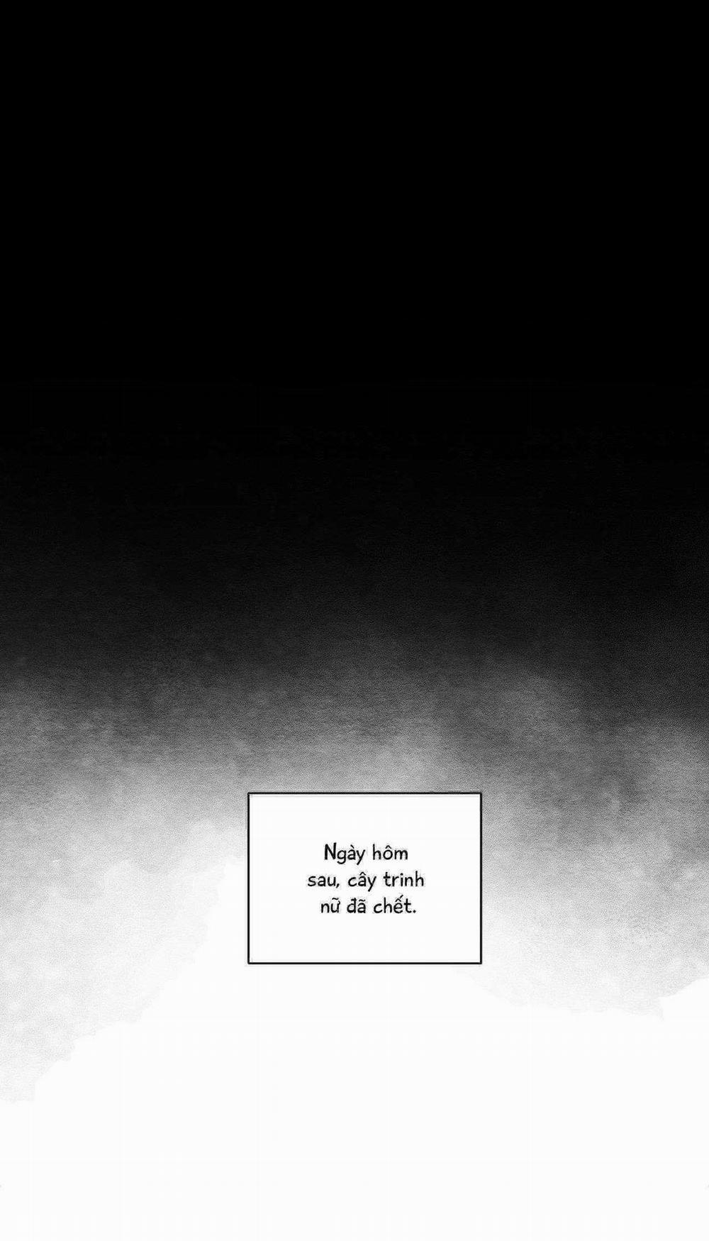 Vóc Dáng Toàn Mỹ 25 trang 37