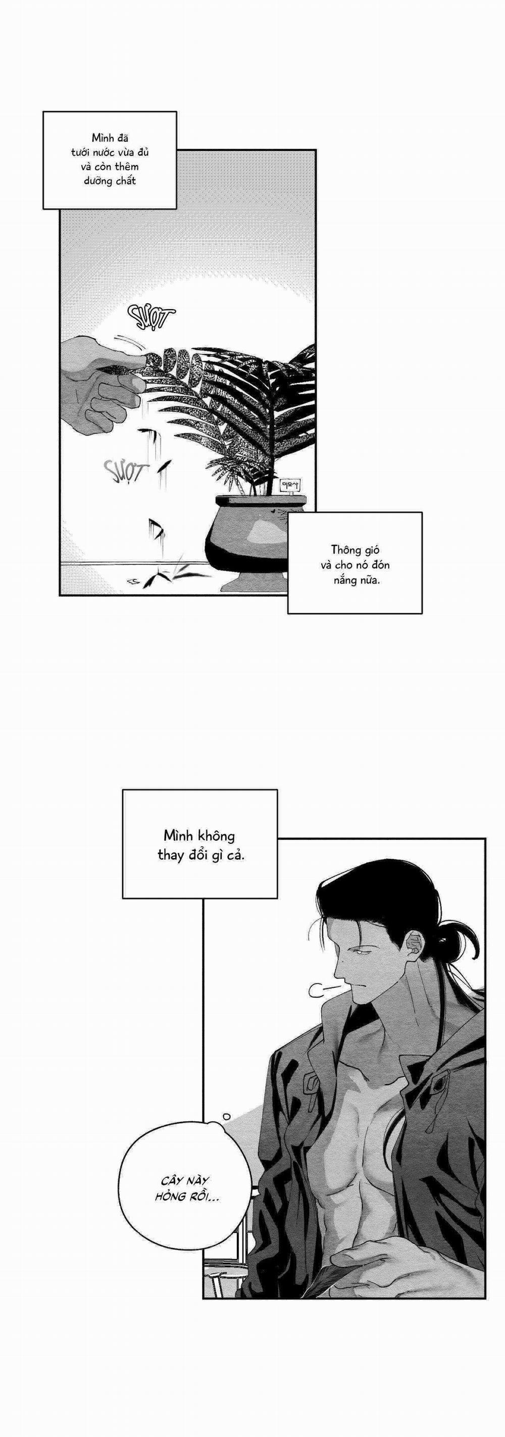 Vóc Dáng Toàn Mỹ 25 trang 39