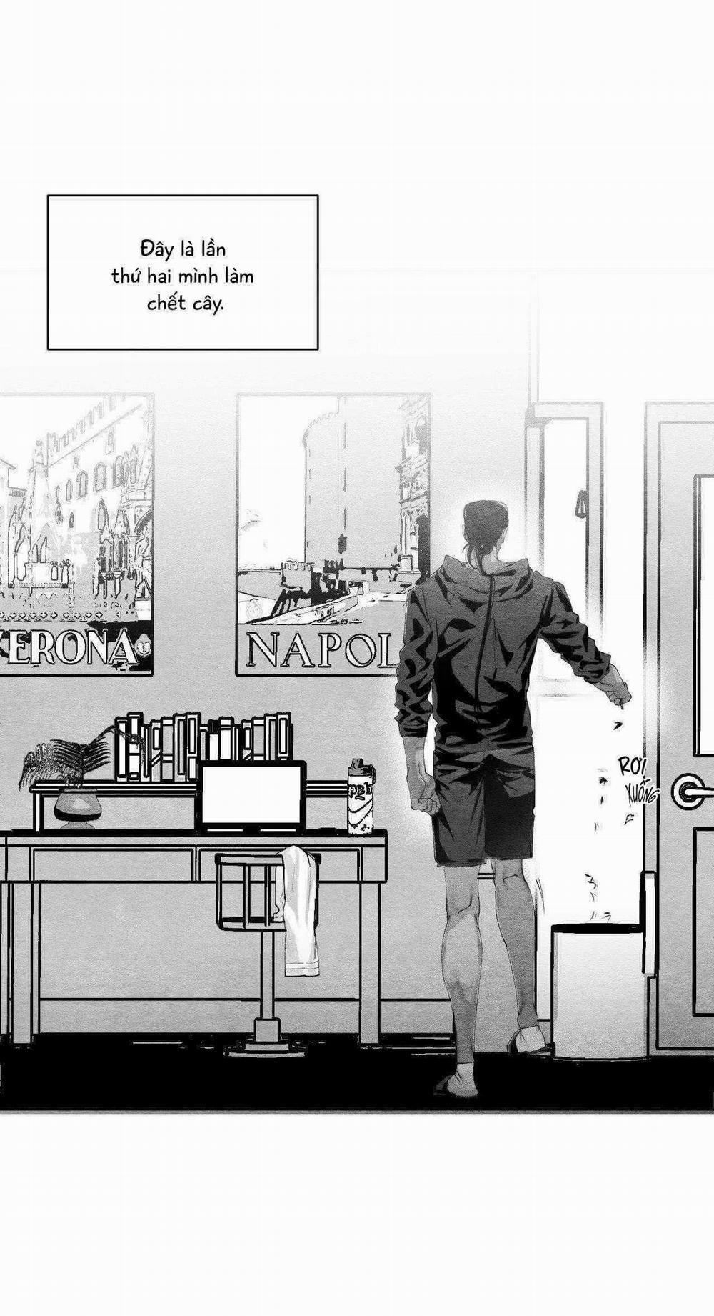 Vóc Dáng Toàn Mỹ 25 trang 40