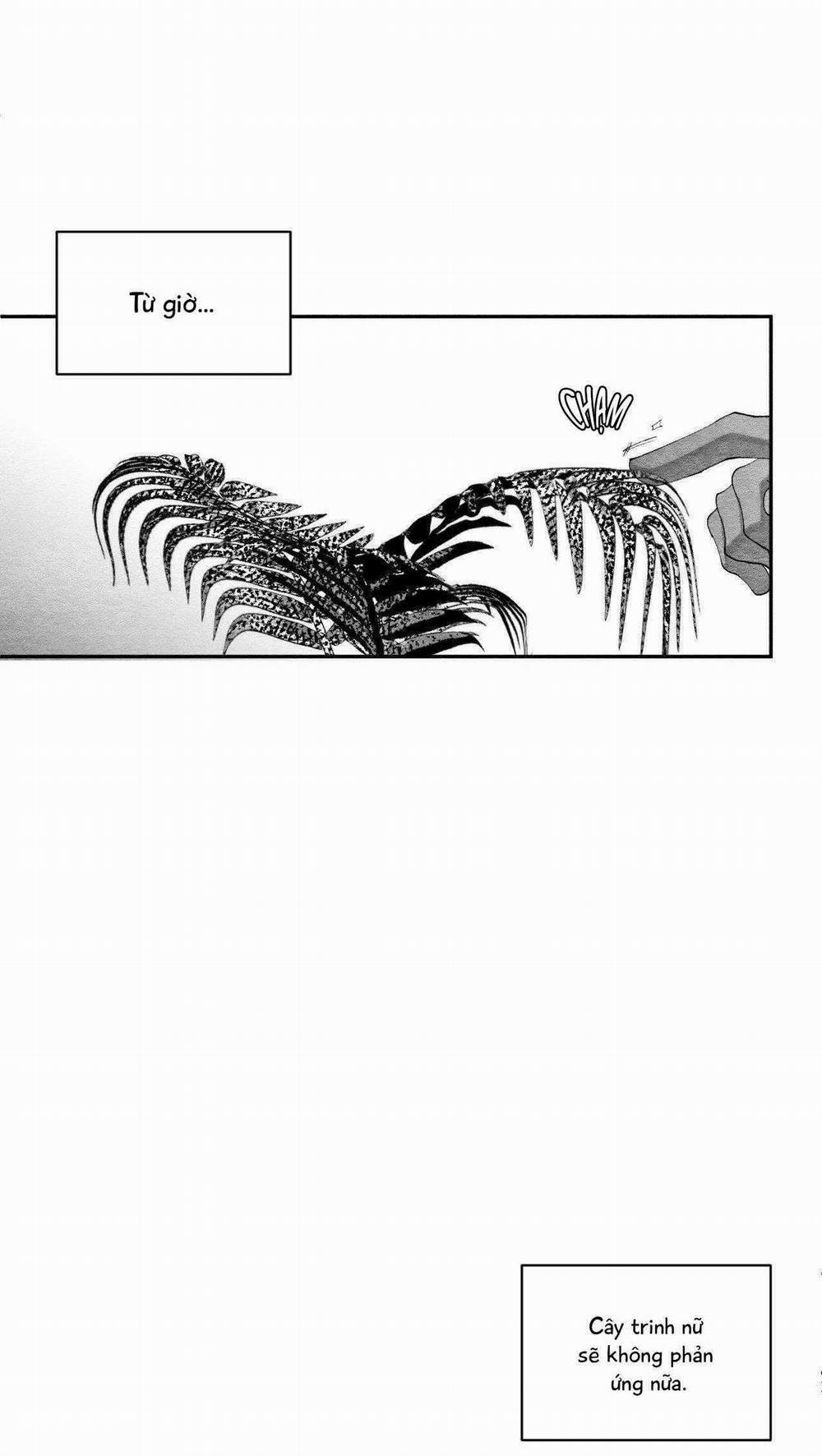 Vóc Dáng Toàn Mỹ 25 trang 41