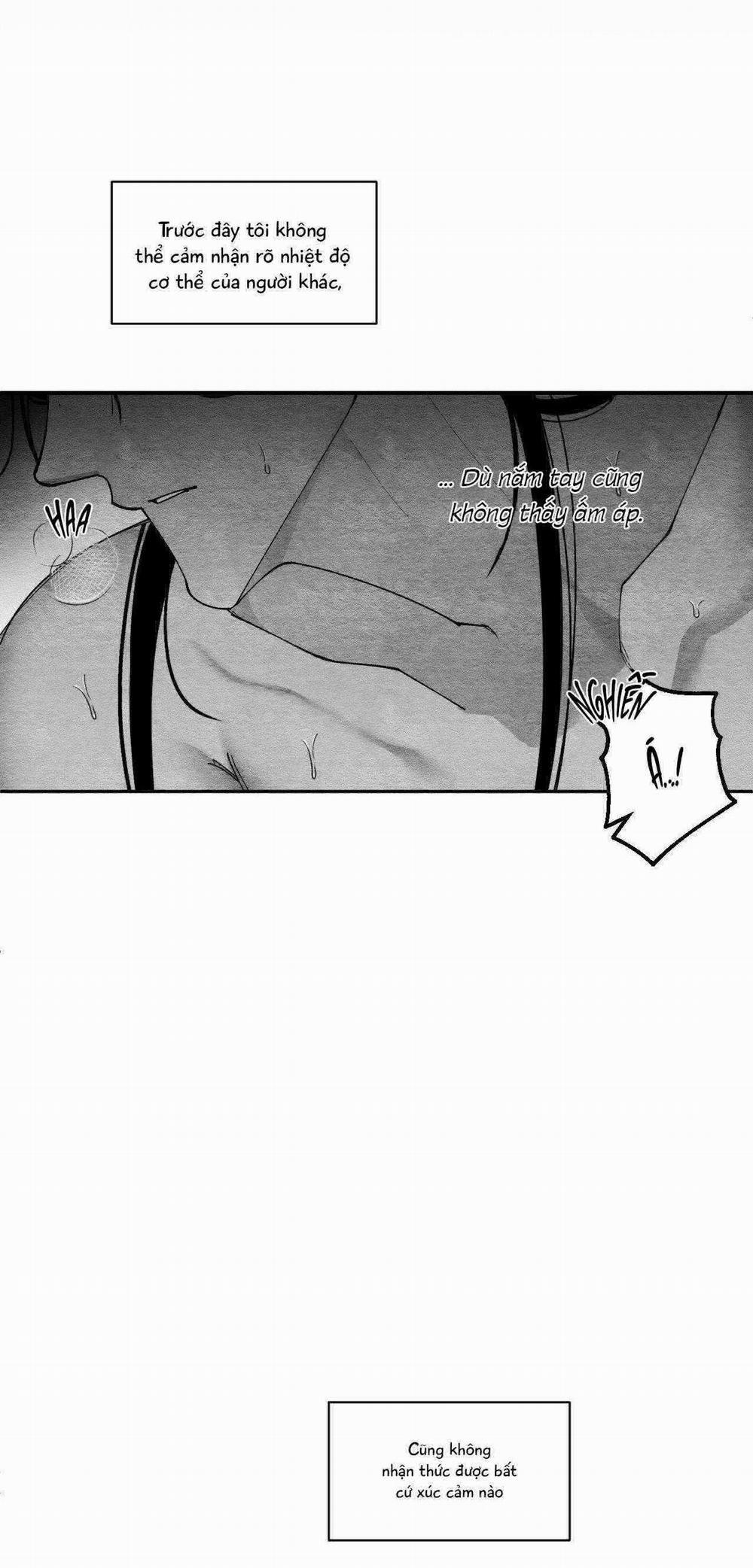 Vóc Dáng Toàn Mỹ 25 trang 49