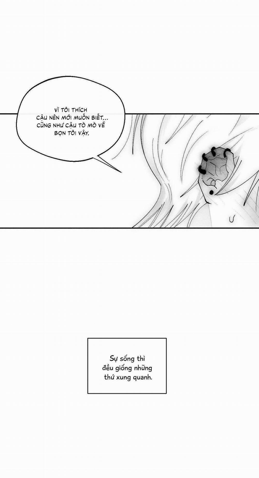 Vóc Dáng Toàn Mỹ 26 trang 43