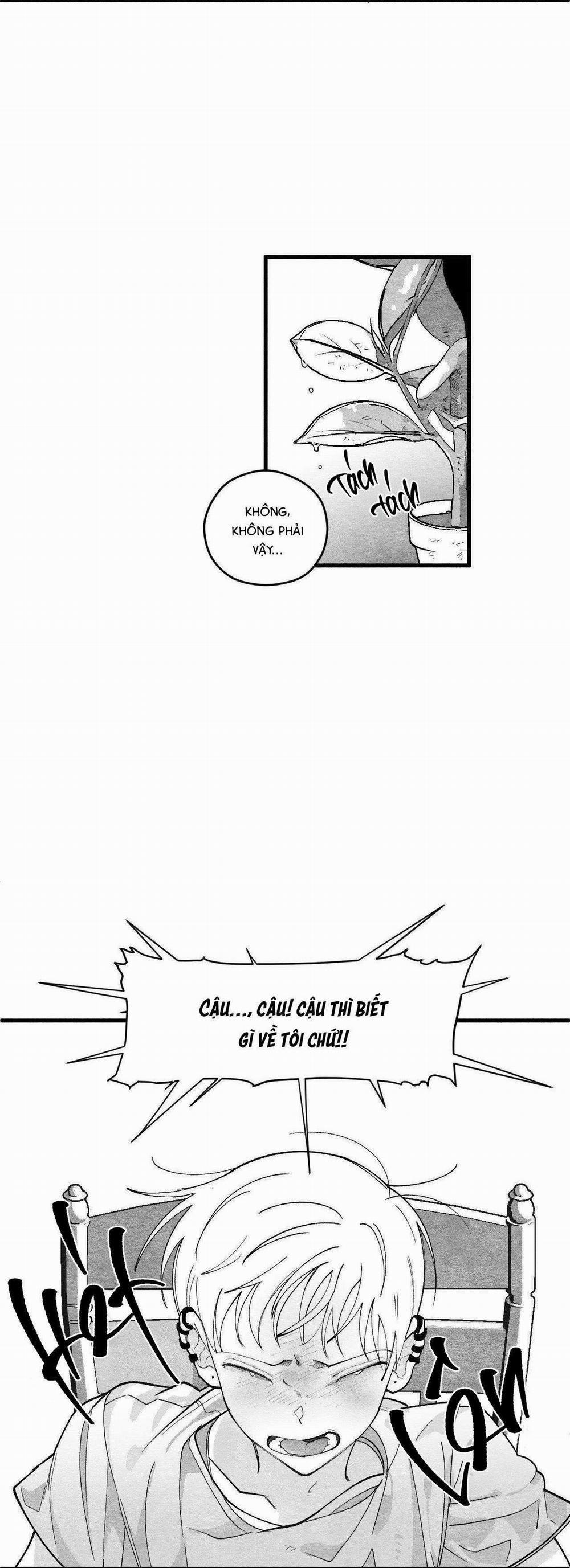 Vóc Dáng Toàn Mỹ 8 trang 17