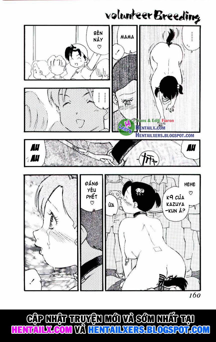 Volunteer Breeding 8 trang 14