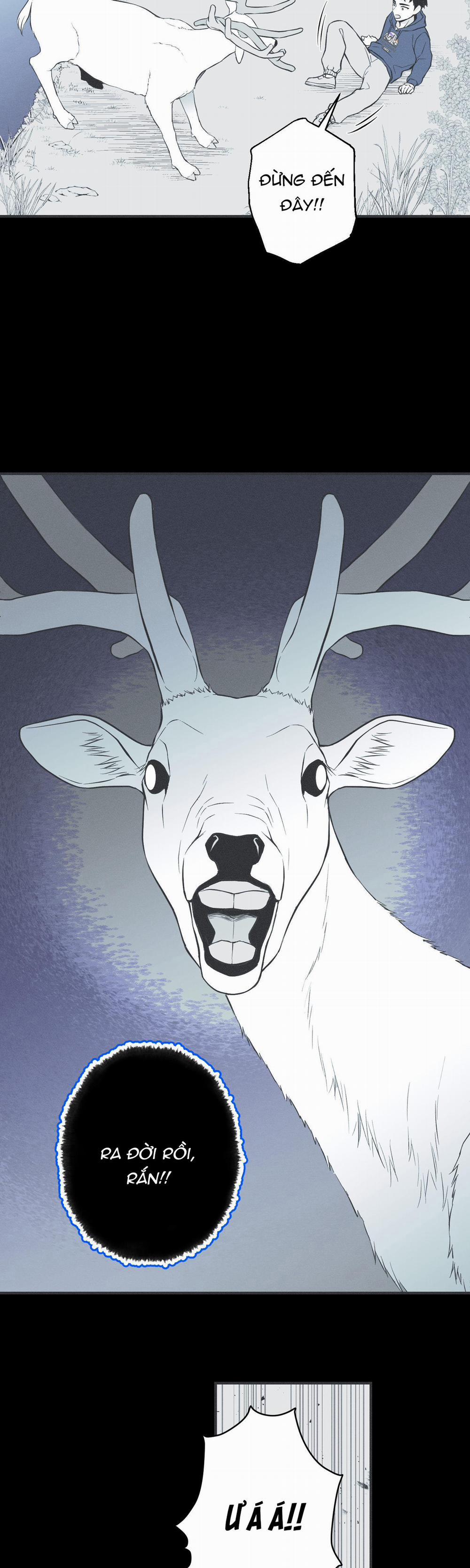 VÒNG XOÁY CỦA RẮN 5 trang 41