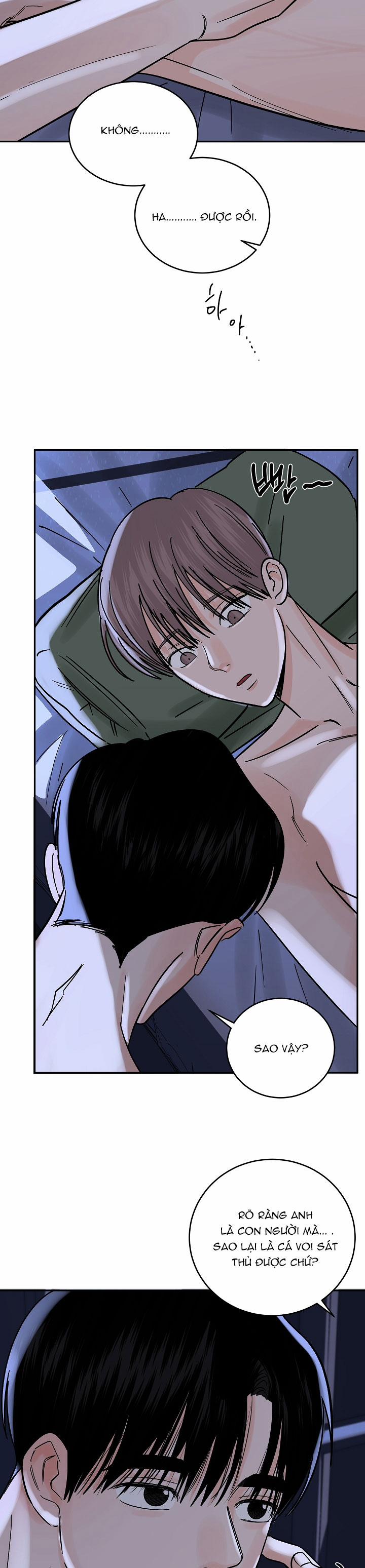 Vụ Án Sóng Thần: Cách Săn Cá Voi Sát Thủ 26 trang 12