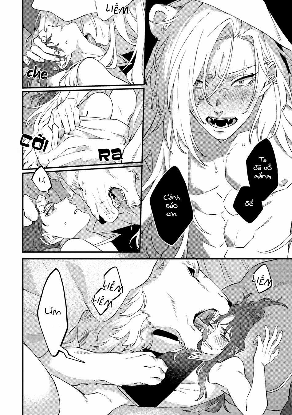 Vũ Khúc Sư Tử 4 trang 17