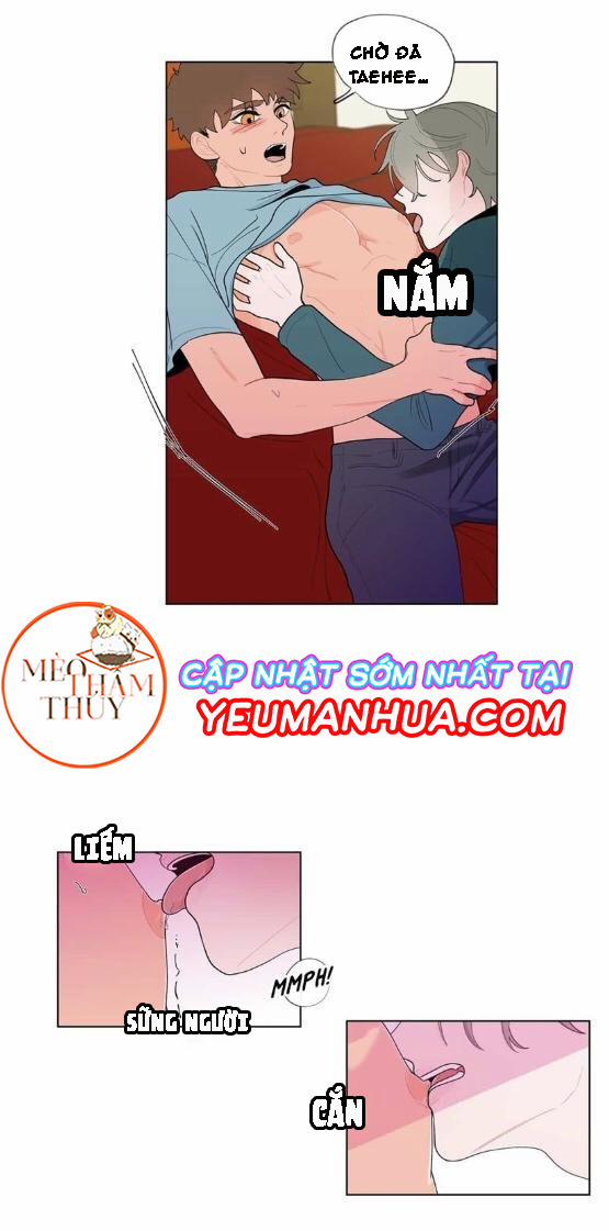 Vụ Tai Tiếng Trái Chuối SS1 11 trang 20