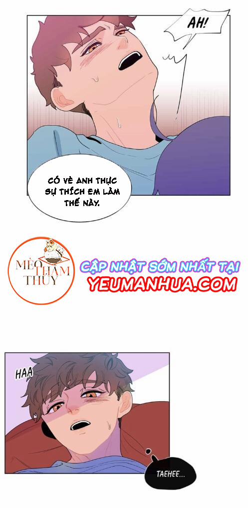 Vụ Tai Tiếng Trái Chuối SS1 11 trang 21