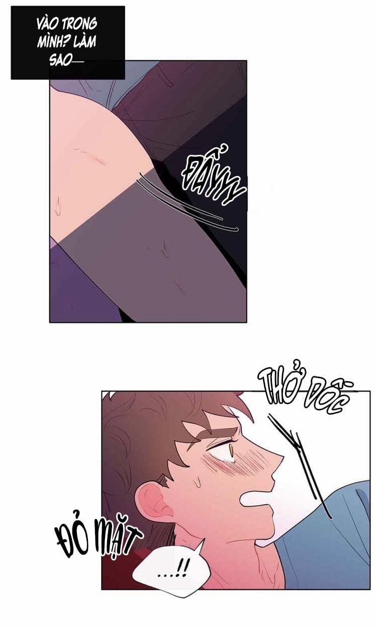 Vụ Tai Tiếng Trái Chuối SS1 12 trang 2