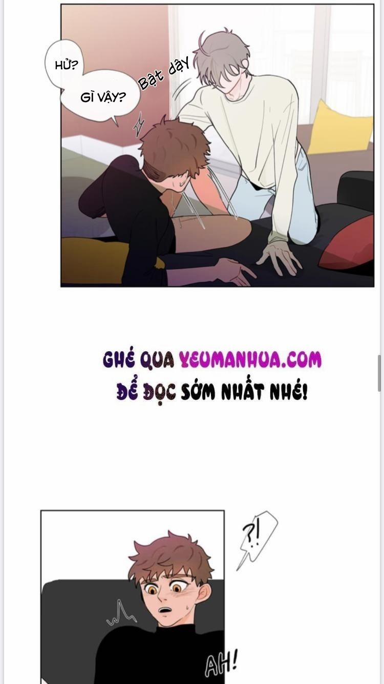 Vụ Tai Tiếng Trái Chuối SS1 15 trang 10